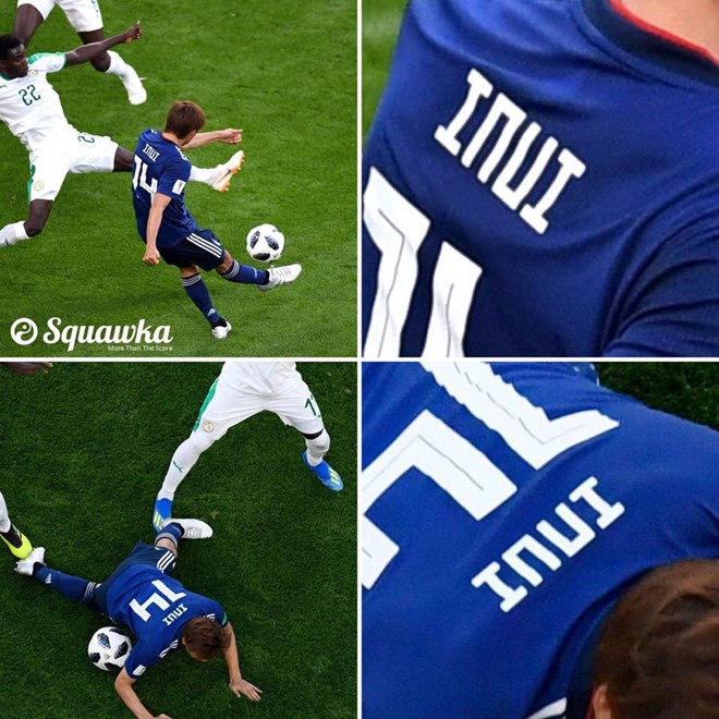 inui25062018023543.jpg