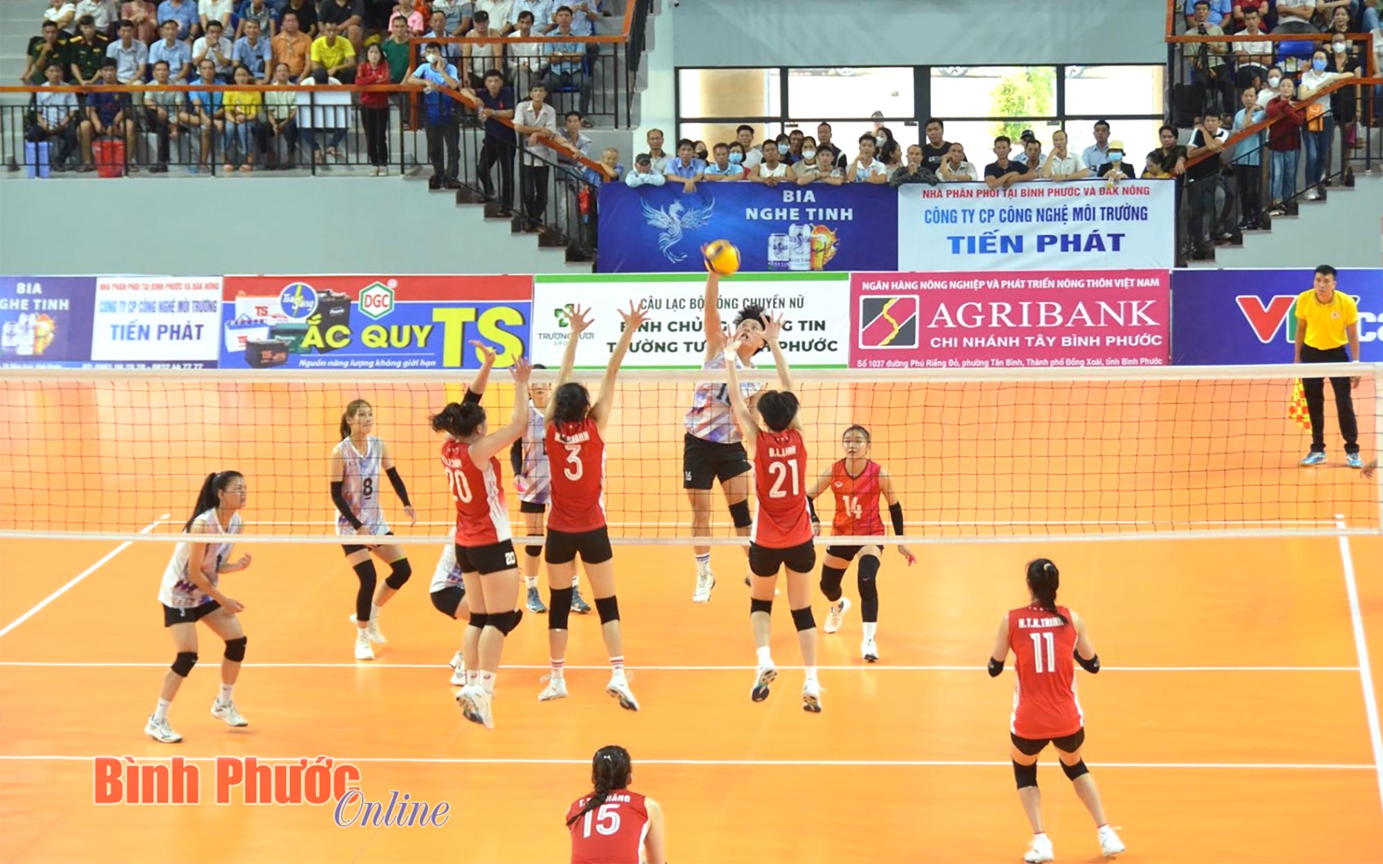 j3_20451612102023.jpg