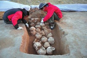 Tìm thấy 80 hộp sọ trong thành phố đồ đá ở Trung Quốc Tìm thấy 80 hộp sọ trong thành phố đồ đá ở Trung Quốc