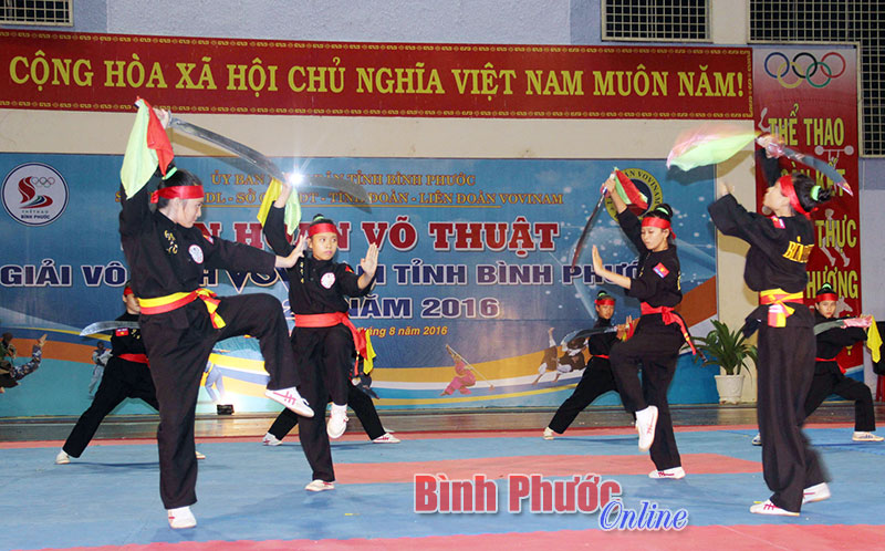 Đặc sắc đêm khai mạc liên hoan võ thuật Đặc sắc đêm khai mạc liên hoan võ thuật