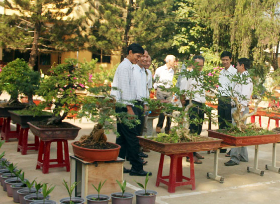 Xã Lộc Thái khai trương hội hoa xuân Giáp Ngọ Xã Lộc Thái khai trương hội hoa xuân Giáp Ngọ