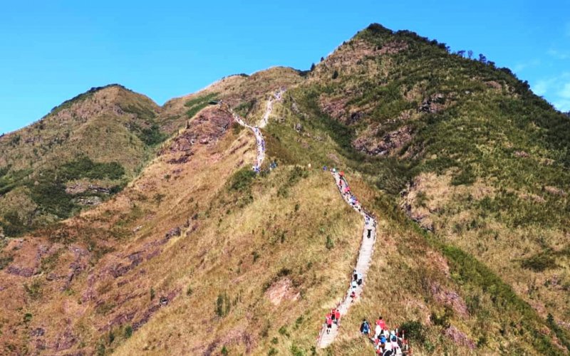 Khám phá “Sống lưng khủng long” Khám phá “Sống lưng khủng long”