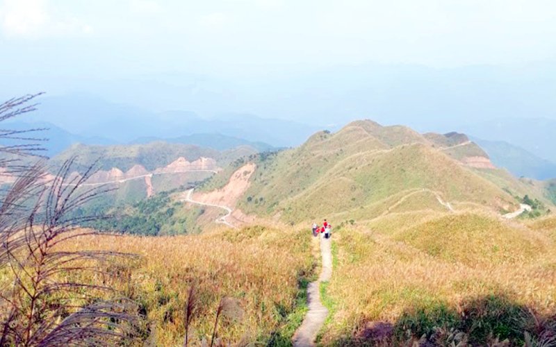 Khám phá "thiên đường cỏ lau"