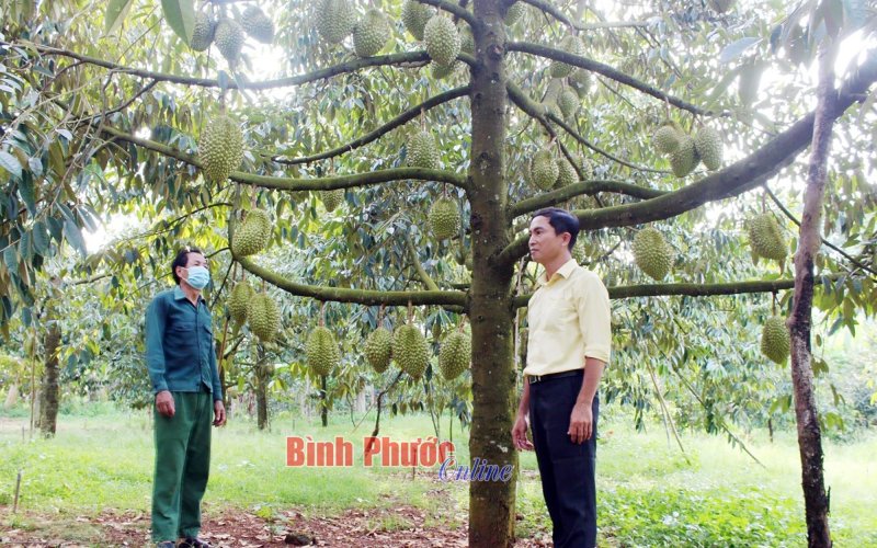 Khẳng định thương hiệu sản phẩm OCOP