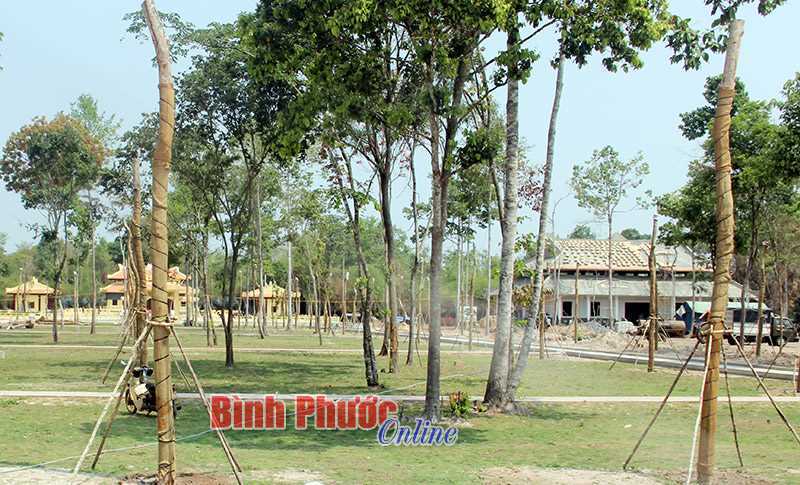 Ưu tiên đầu tư tu bổ, tôn tạo các di tích đã được xếp hạng