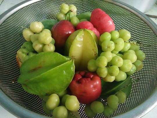 Chảy nước miếng với khế chua, chuối chát, mắm đường...