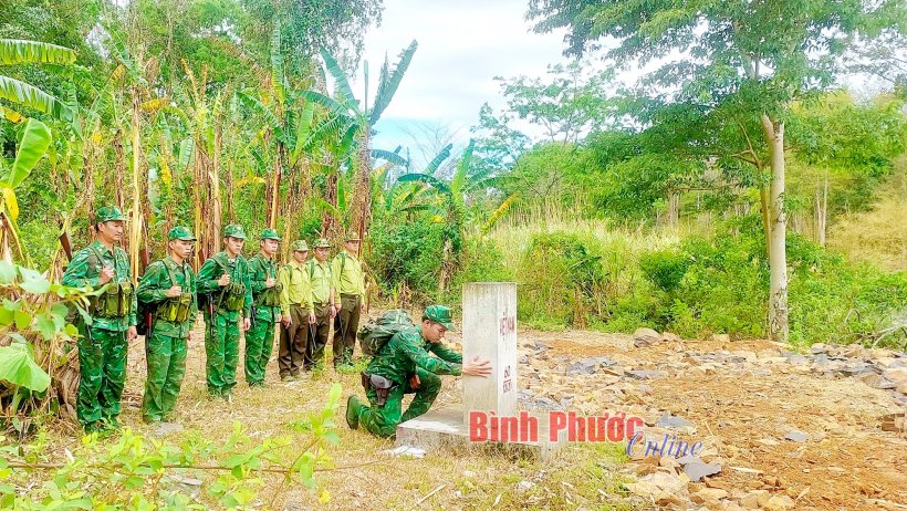 Khi bộ đội giữ rừng