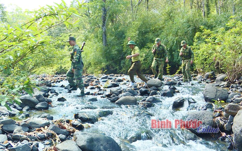 Khi bộ đội giữ rừng