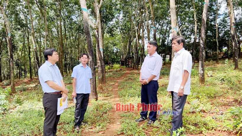 Khi người dân 'góp đất' mở đường
