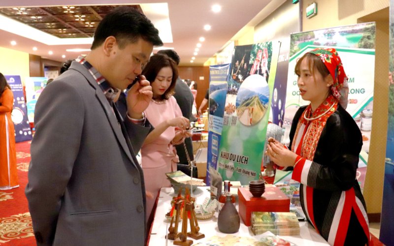 Khi người trẻ làm du lịch