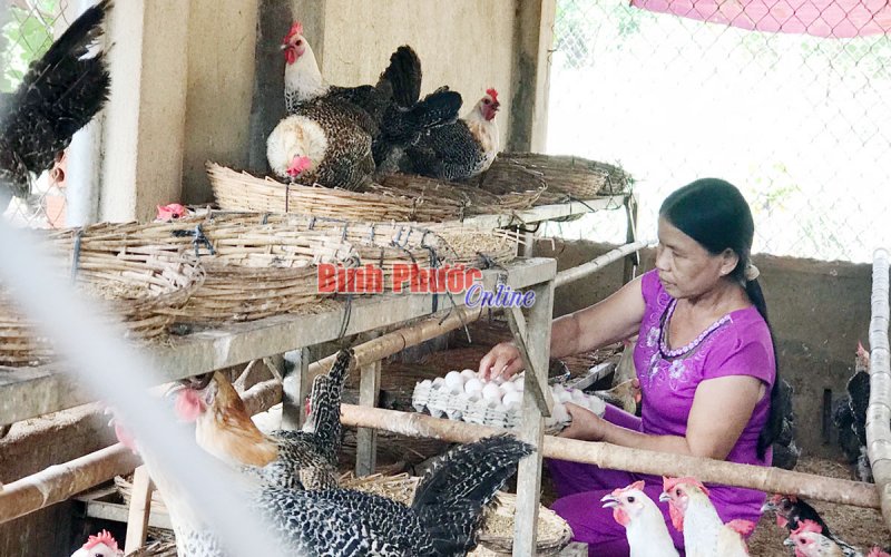 Khi phụ nữ làm kinh tế Khi phụ nữ làm kinh tế
