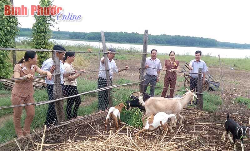 Khi các ngành chuyên môn gắn với cơ sở Khi các ngành chuyên môn gắn với cơ sở