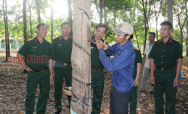 Trung đoàn 717 phấn đấu nâng thu nhập 6 triệu đồng/người/tháng