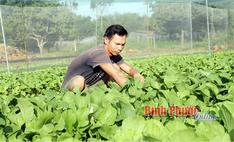 khinhanong.jpg