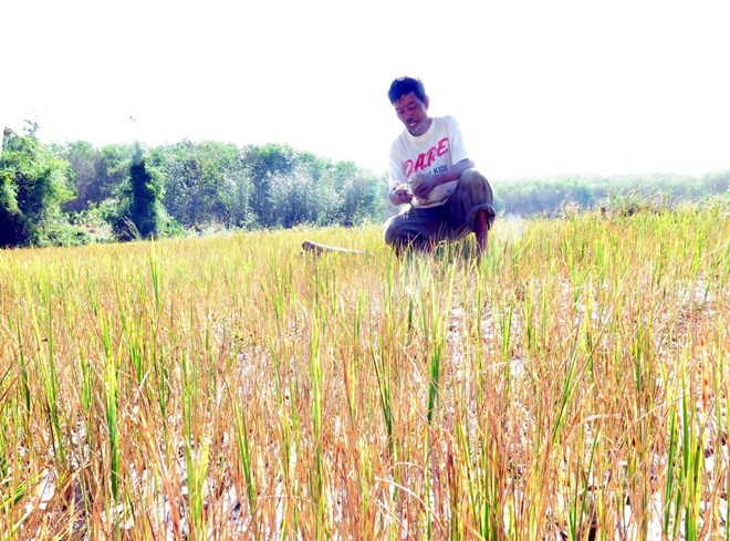 kho_han.jpg