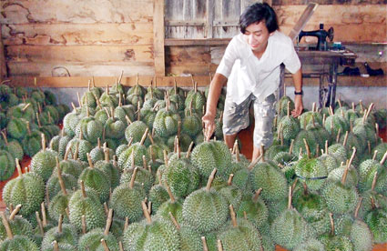 Khoa học và công nghệ Bình Phước sau 5 năm phát triển Khoa học và công nghệ Bình Phước sau 5 năm phát triển