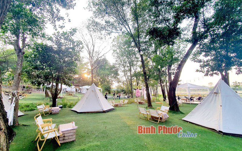 Khởi nghiệp từ “view” hồ