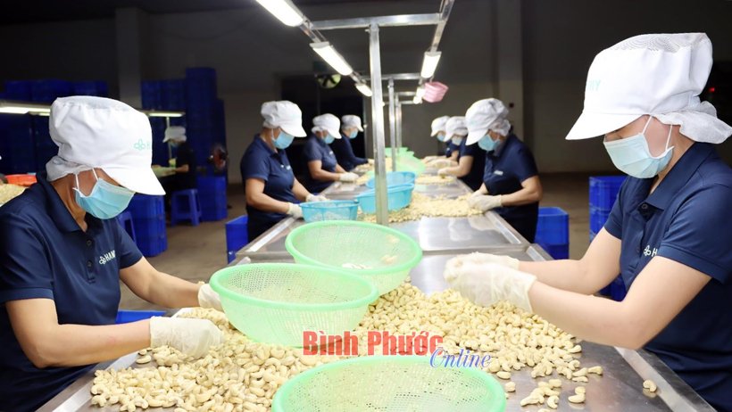 Khởi sắc đầu năm