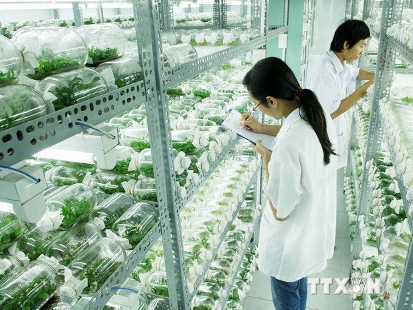 “Phải có chính sách làm cho các doanh nghiệp dân tộc mạnh lên”