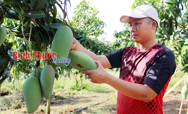 khoinghiep08062018041357.jpg
