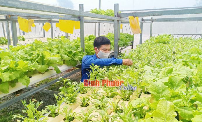 Cầu nối của những thanh niên cùng chí hướng