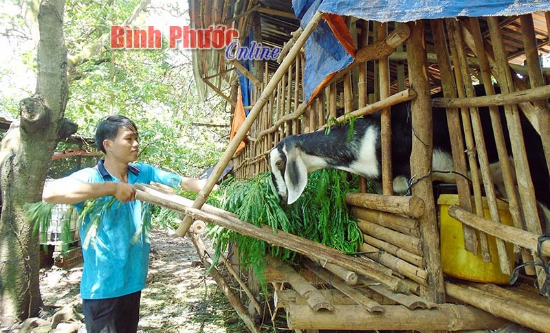Khởi nghiệp từ đam mê làm nông nghiệp