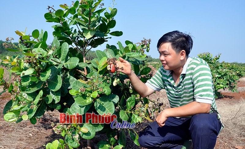 Hai bí thư đoàn không theo lối mòn