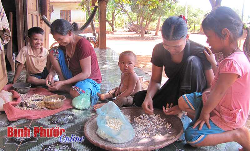 Bù Gia Mập còn 1.925 hộ DTTS nghèo