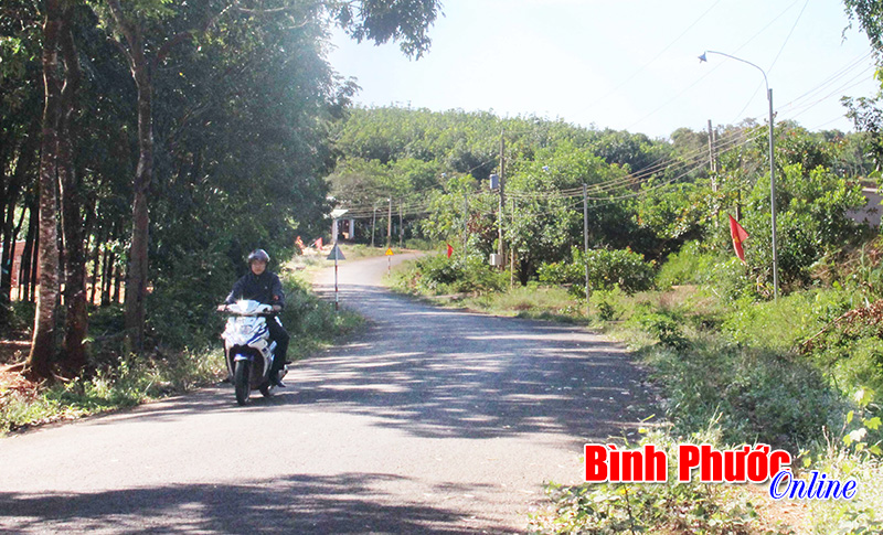 Khó khăn trong xây dựng nông thôn mới ở Phú Nghĩa