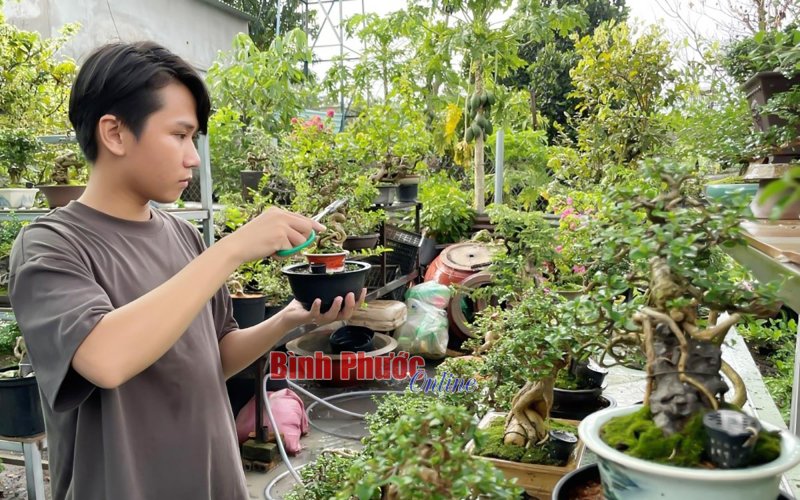 Không chỉ là… thú chơi
