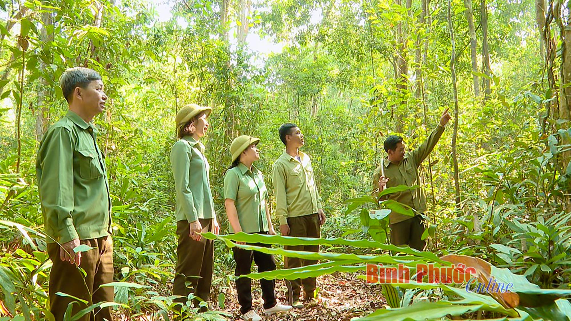Không để “giặc lửa” xâm hại rừng