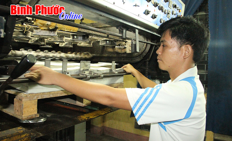 khongphainhabao4.jpg
