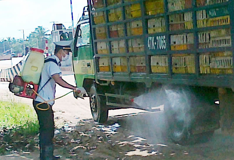 Không thiếu vắc-xin phòng cúm gia cầm Không thiếu vắc-xin phòng cúm gia cầm
