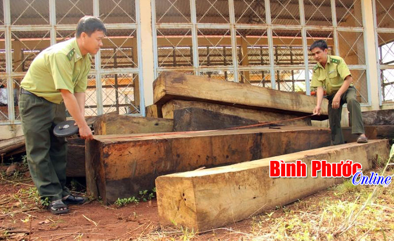 Kiểm lâm Bù Đăng với cuộc chiến bảo vệ rừng
