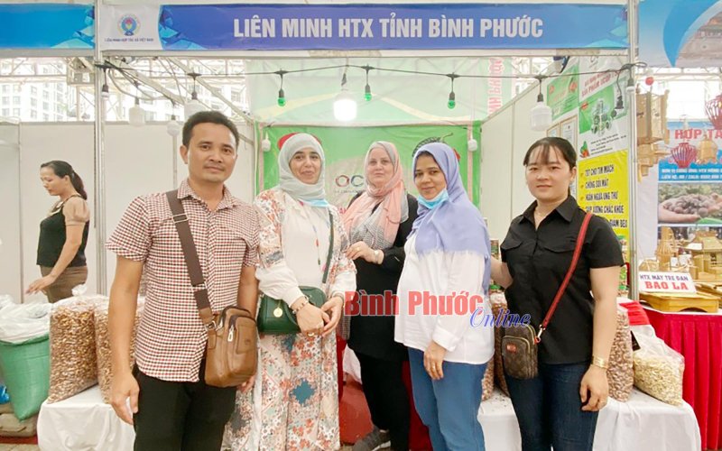 Kinh tế tập thể ‘ra khơi’ - Bài cuối Kinh tế tập thể ‘ra khơi’ - Bài cuối