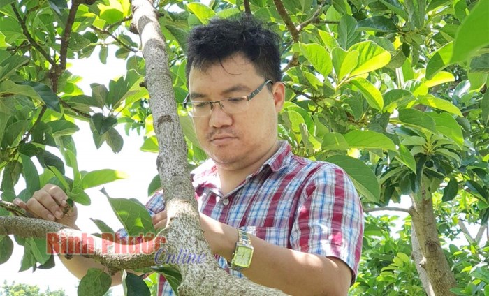 Nông trang Thiên Nông vươn tới nền nông nghiệp xanh Nông trang Thiên Nông vươn tới nền nông nghiệp xanh