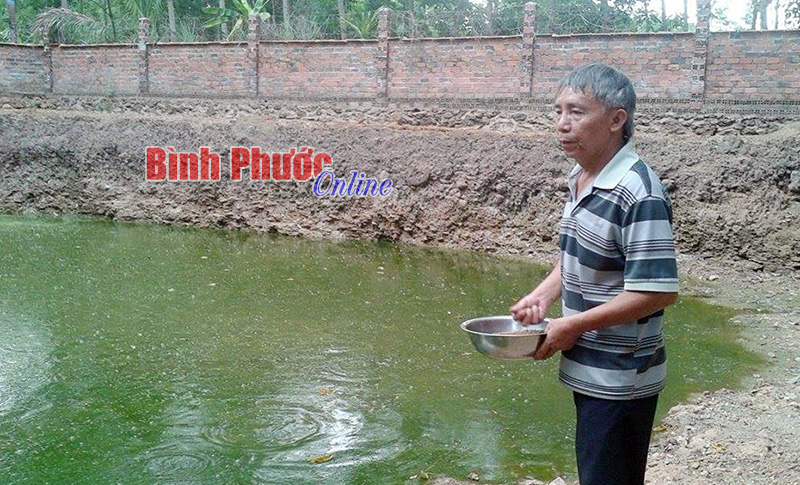 Kinh tế bền vững nhờ chăn nuôi tổng hợp Kinh tế bền vững nhờ chăn nuôi tổng hợp