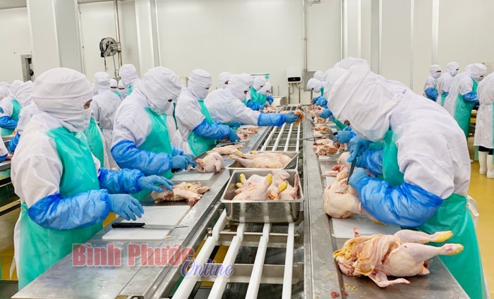 Ðộng lực để Bình Phước “cất cánh” - Bài cuối Ðộng lực để Bình Phước “cất cánh” - Bài cuối