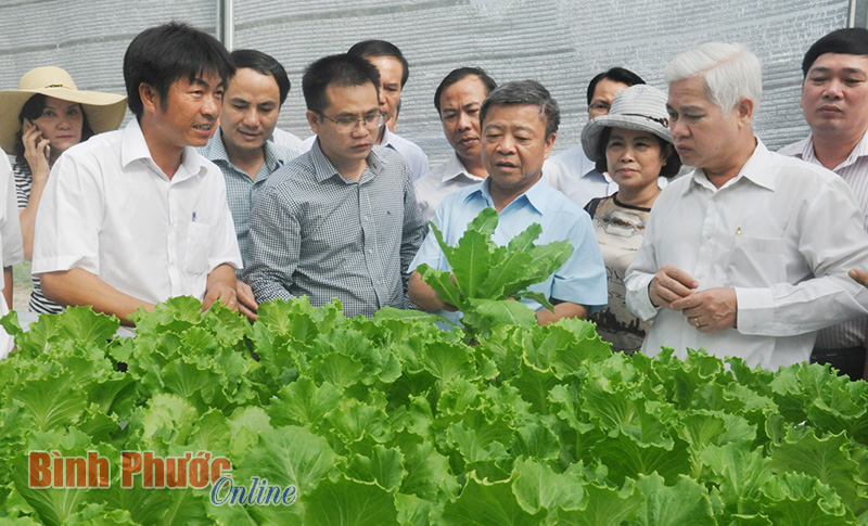 Kinh tế tập thể nhiều khởi sắc Kinh tế tập thể nhiều khởi sắc