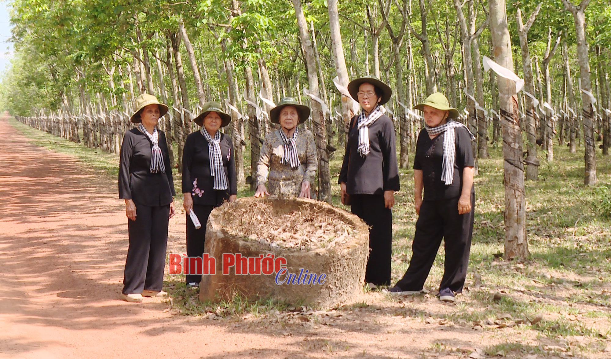 Ký ức những cánh hoa “trong lửa”!