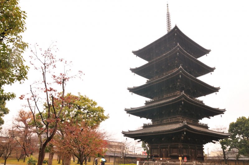 kyoto_toji_temple_05225207012024.jpeg