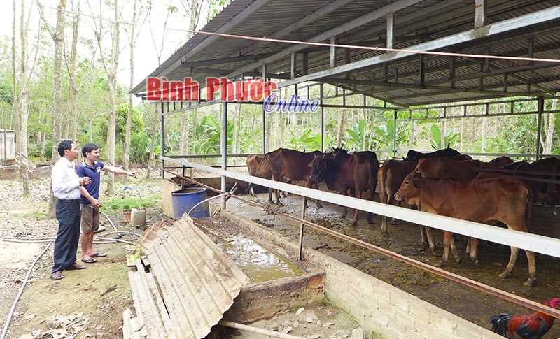 Kỹ sư môi trường mê trùn quế