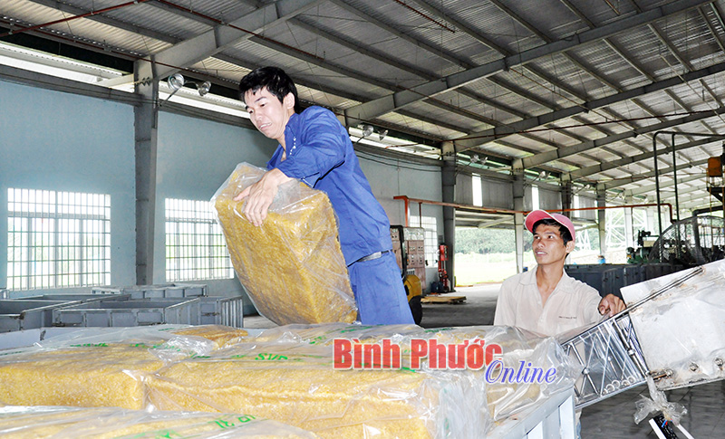 Làm gì để tăng thu ngân sách từ doanh nghiệp? Làm gì để tăng thu ngân sách từ doanh nghiệp?