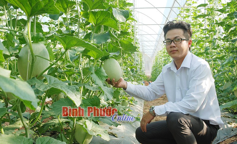 Làm giàu trên vùng đất khó