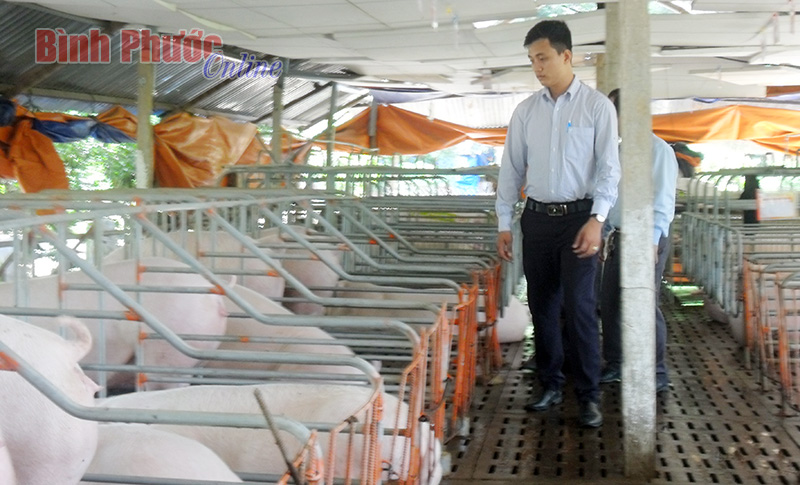 lamgiaukhongkho.jpg