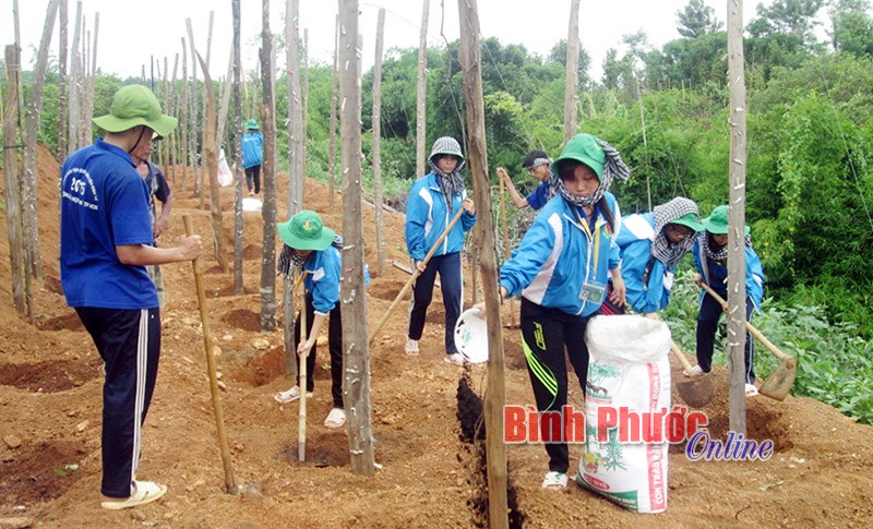 Làm thế nào để nâng cao chất lượng tổ chức đoàn cơ sở? - Bài 1