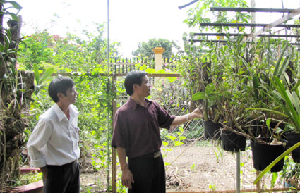 “Phải có hướng bảo tồn những loài lan quý” “Phải có hướng bảo tồn những loài lan quý”