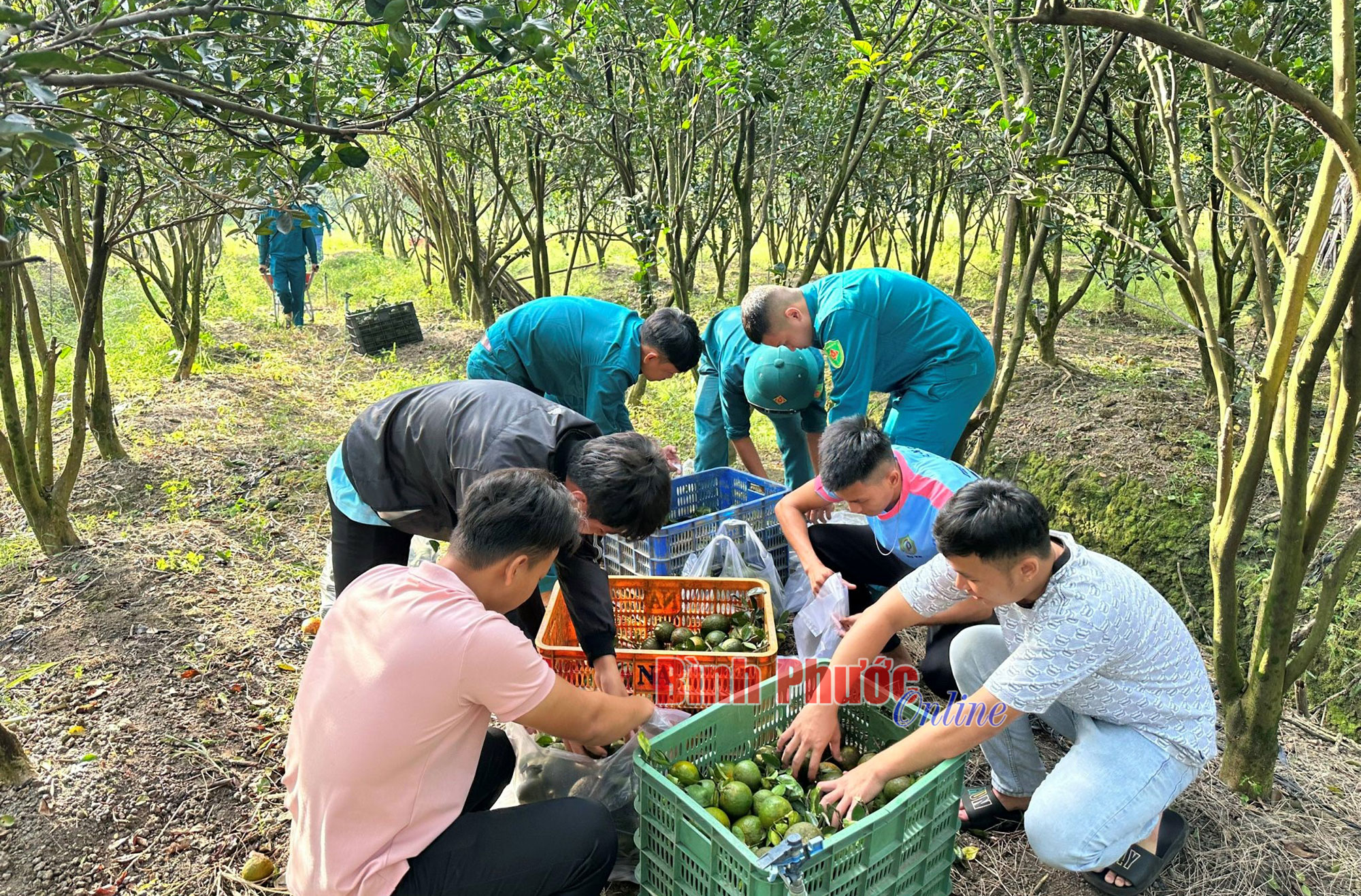 Lan tỏa phong trào thi đua 'Dân vận khéo'
