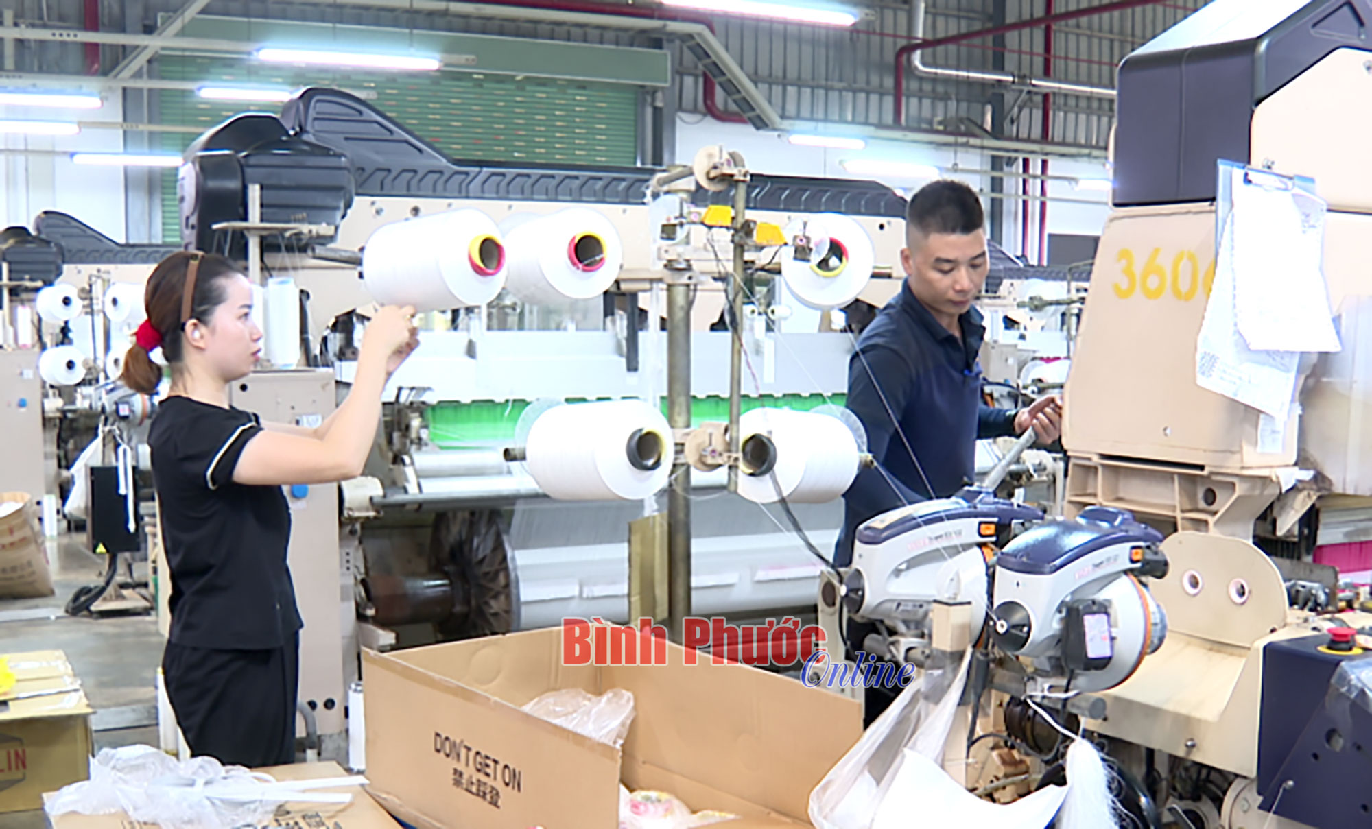 Lặng thầm góp sắc xuân