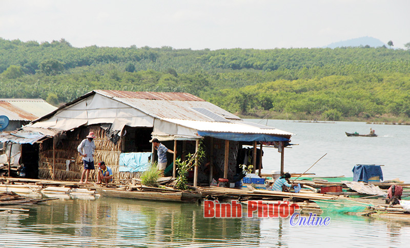 langchai.jpg